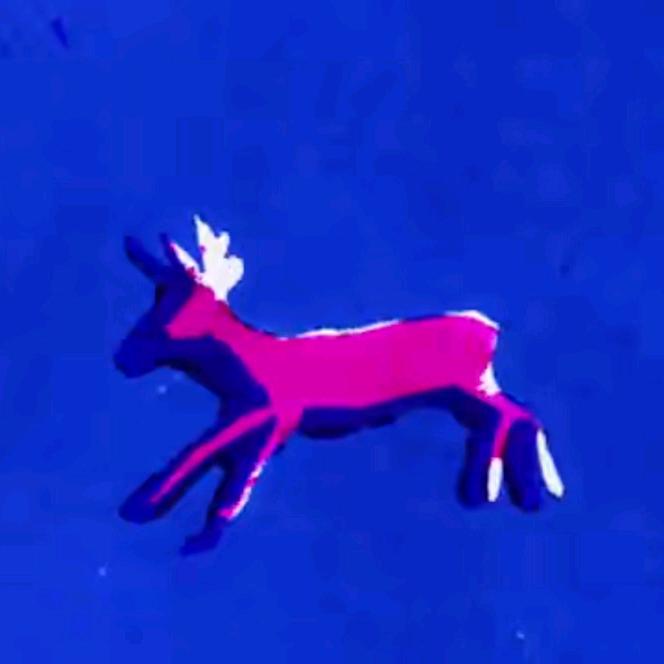 你舅千娇百媚蕙质兰心