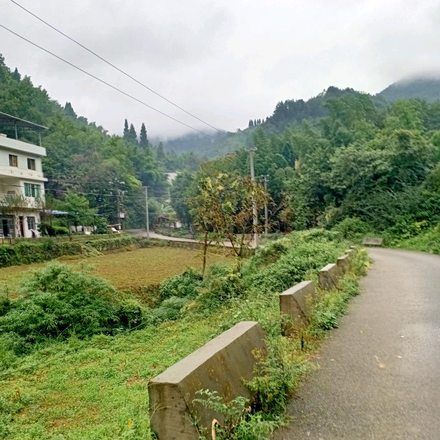一路长红