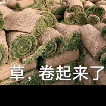 风雨雷电
