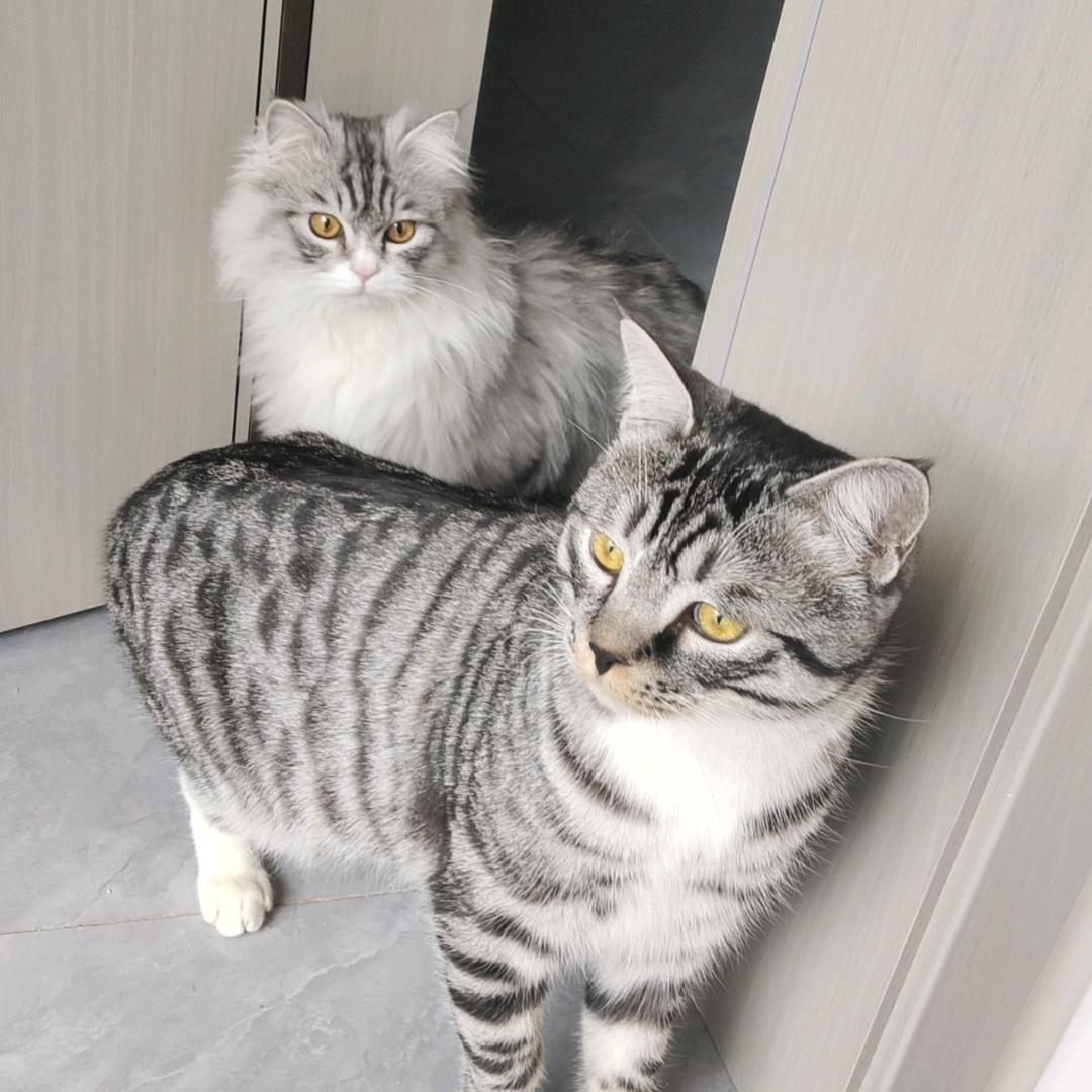 fgbdwrhbkjrsafbjhrdv