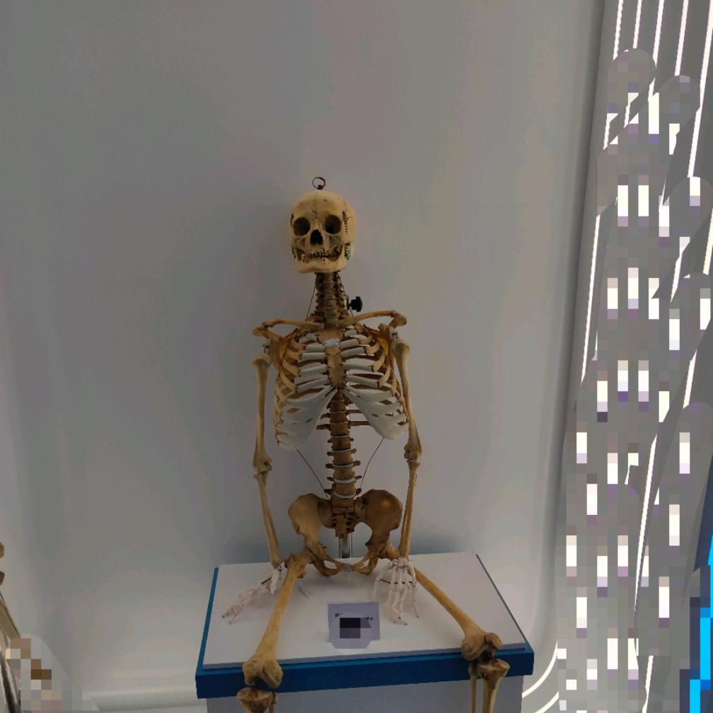 三魂七魄归位诀