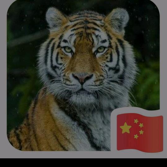 霹雳虎头王