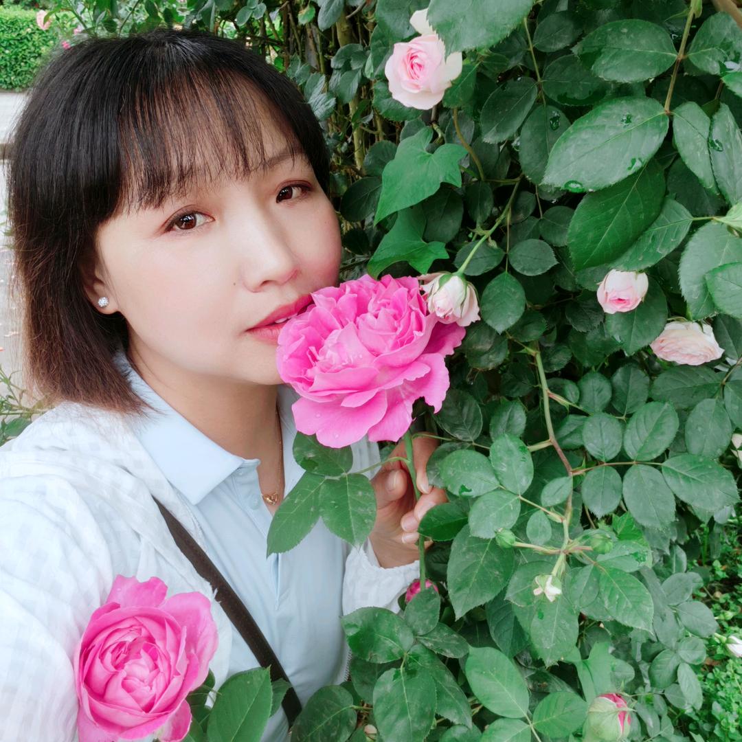 踏雪寻梅、