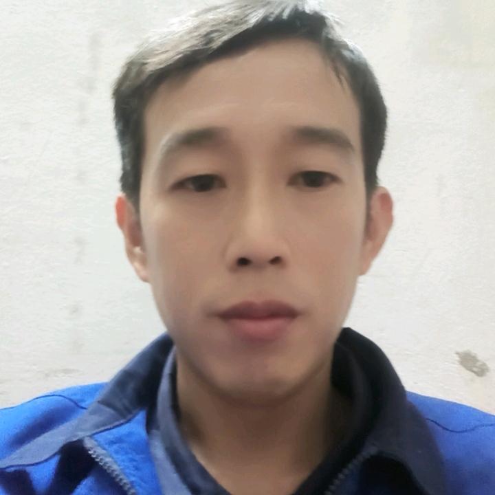 黎法金