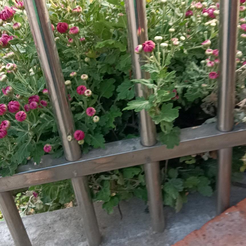 小保姆的，小木粉丝