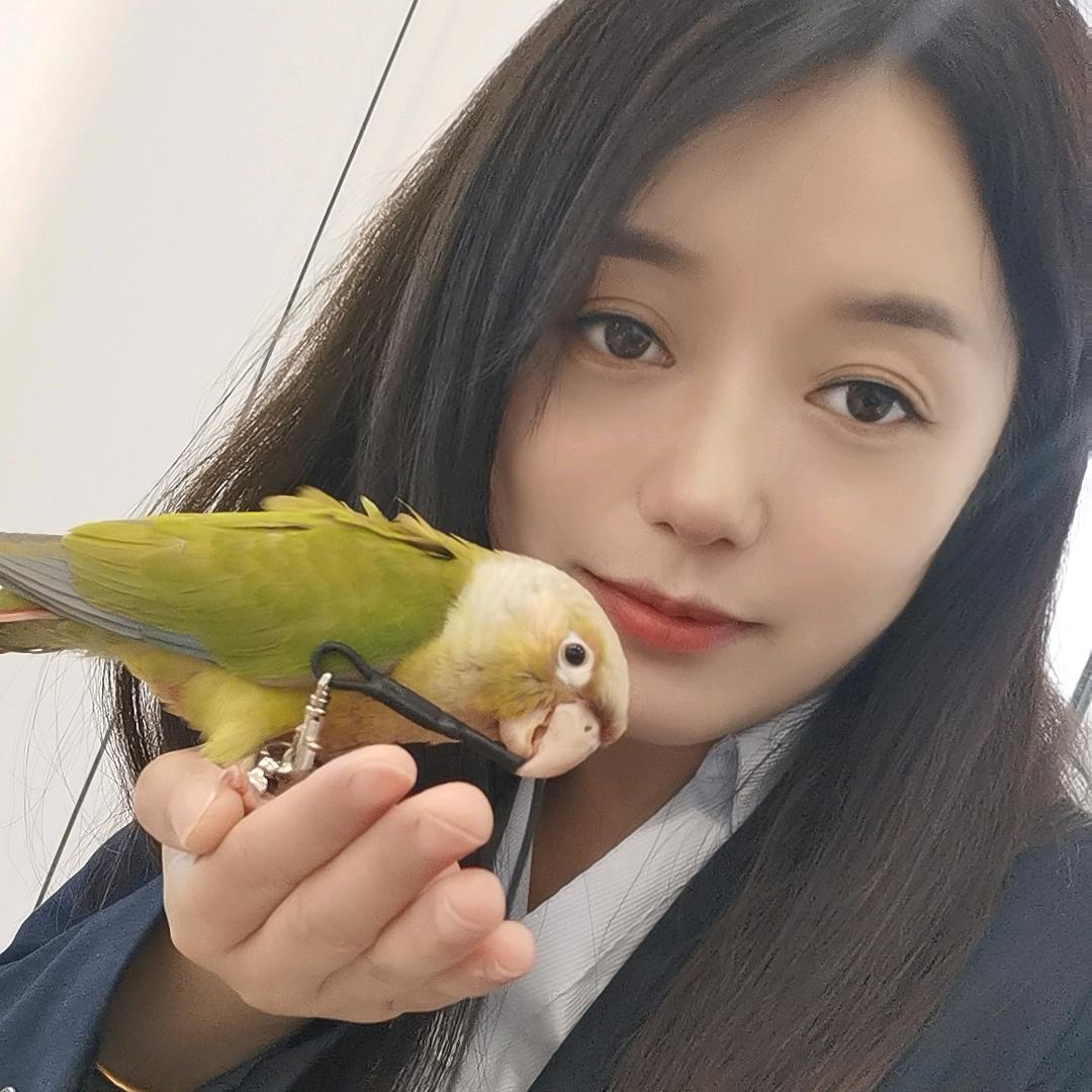 鹤峰娟娟儿看好房