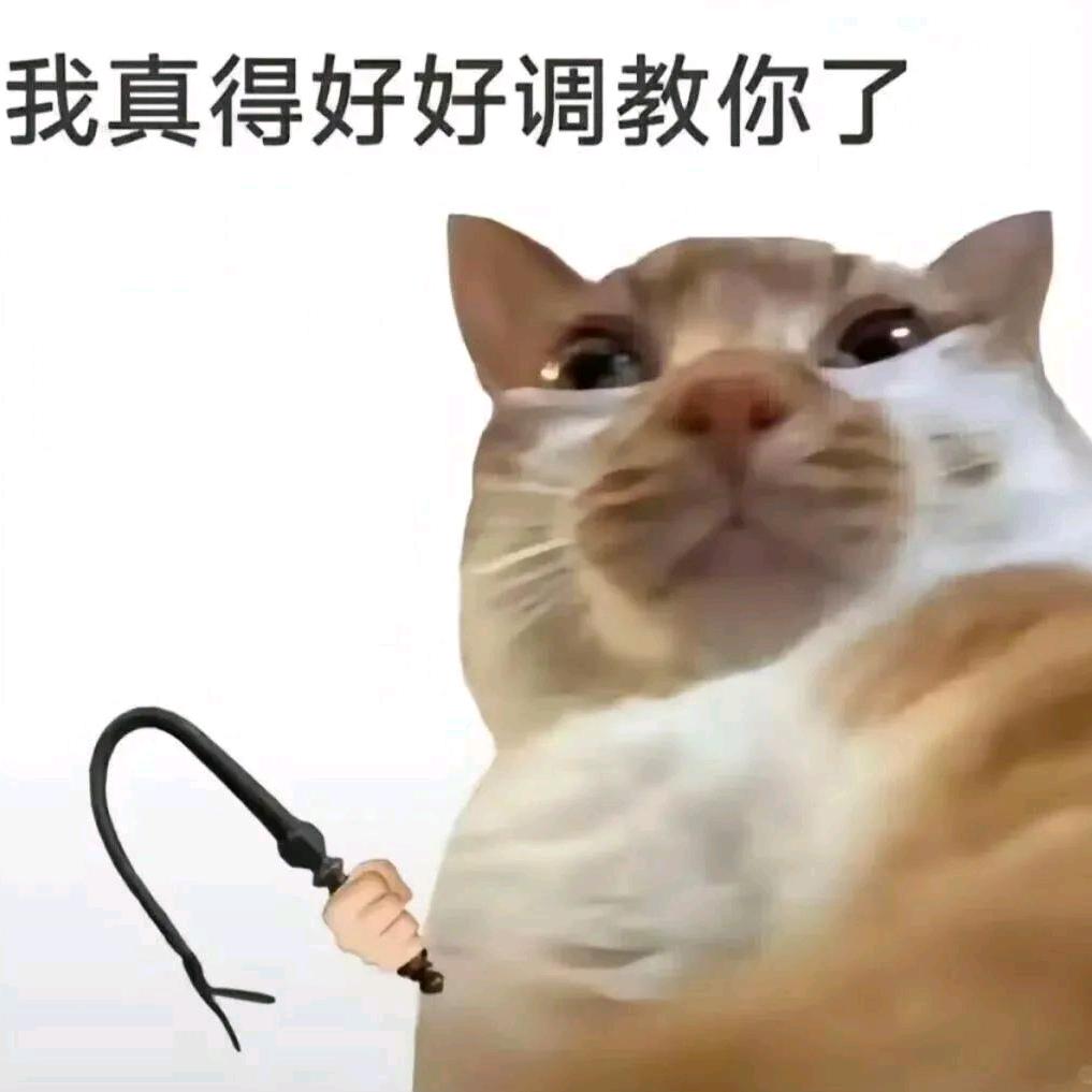纯情大鼠火辣辣~