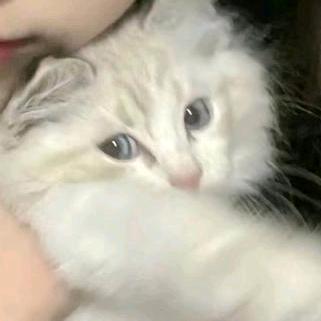 yun-