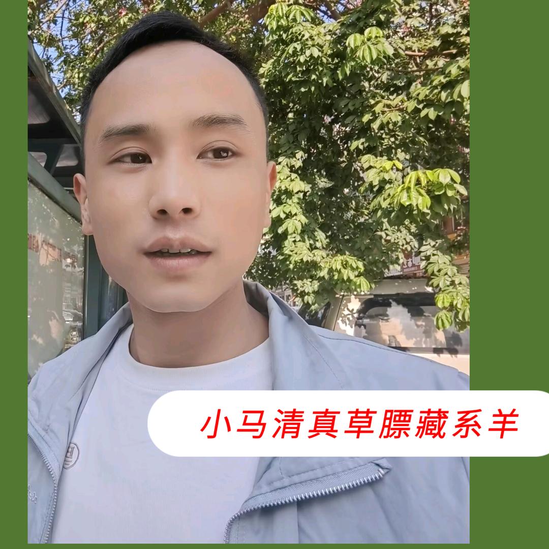 卖藏羊肉的小马