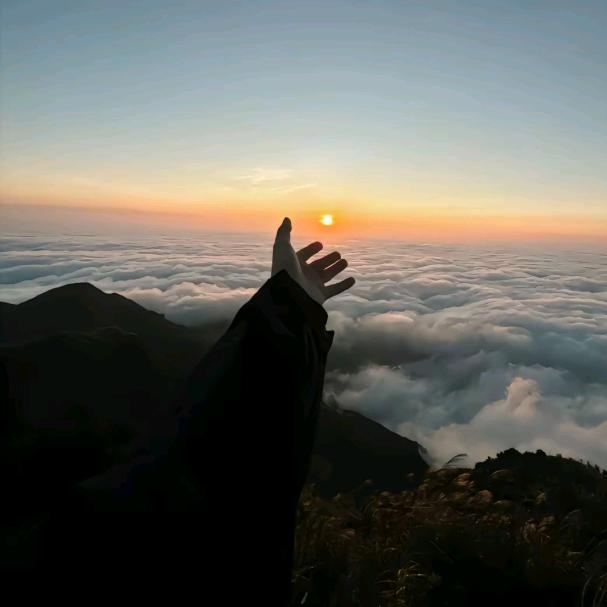 太对了