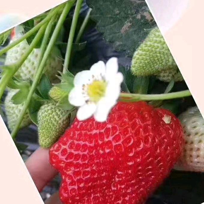 用户我