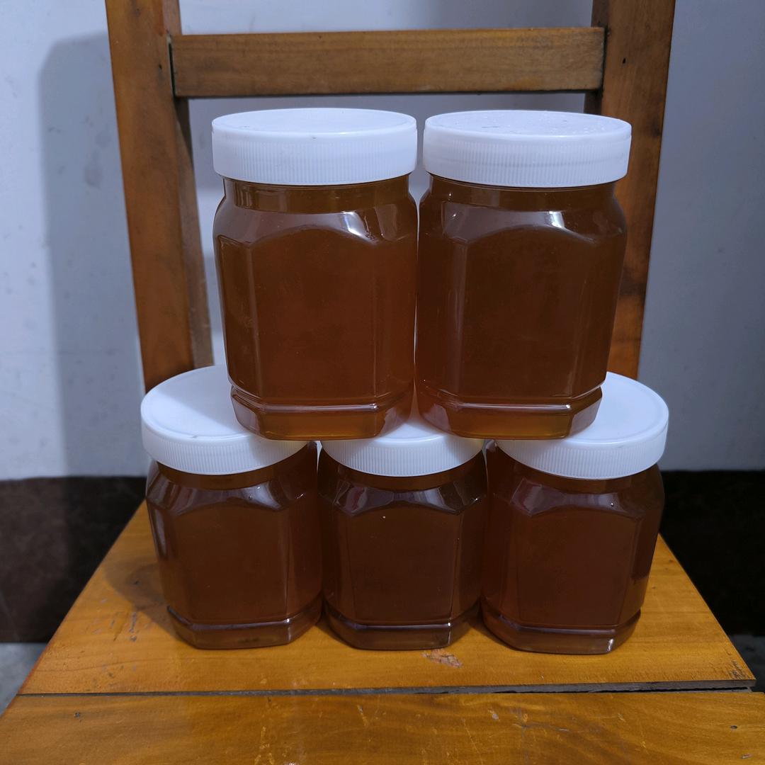 九零後寻蜂小哥