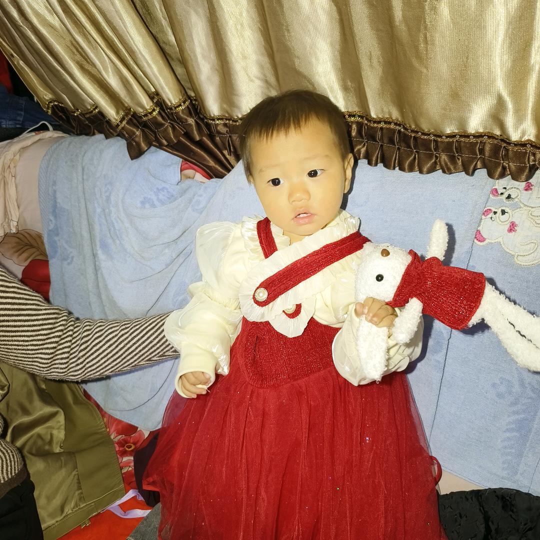 专业运输水泥砂石料，