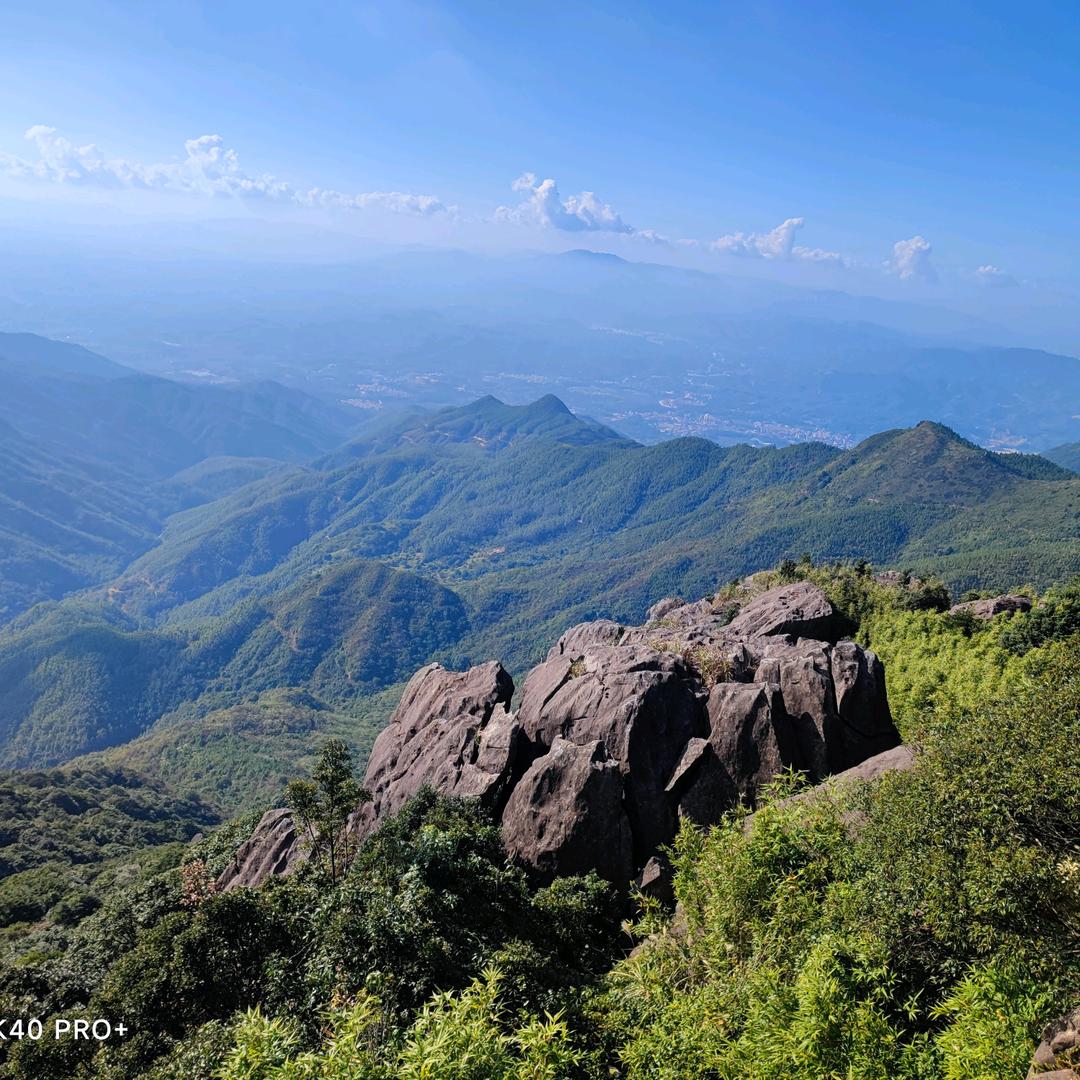 大坪~遇见花开~花艺馆