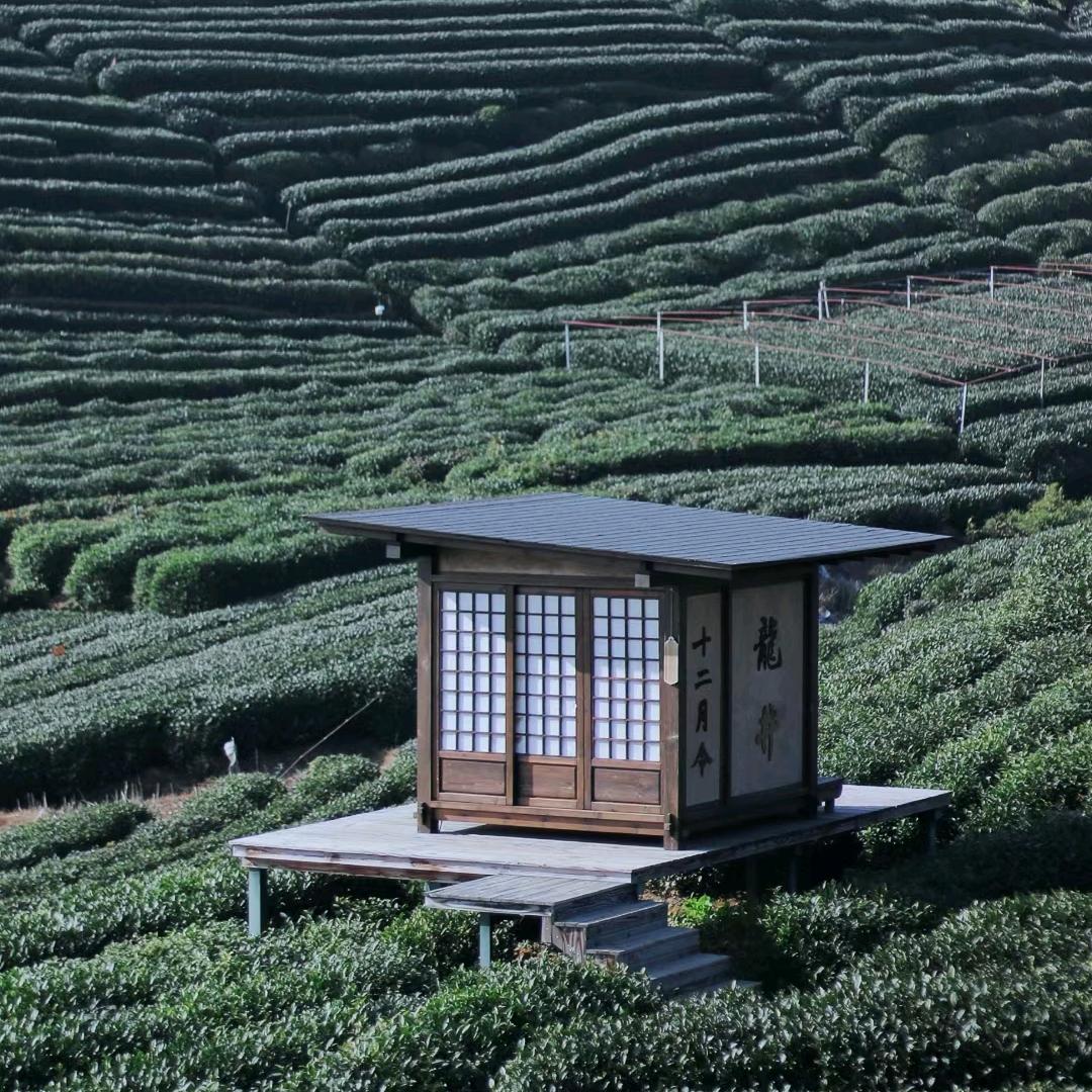 十二月令茶舍·龙坞店
