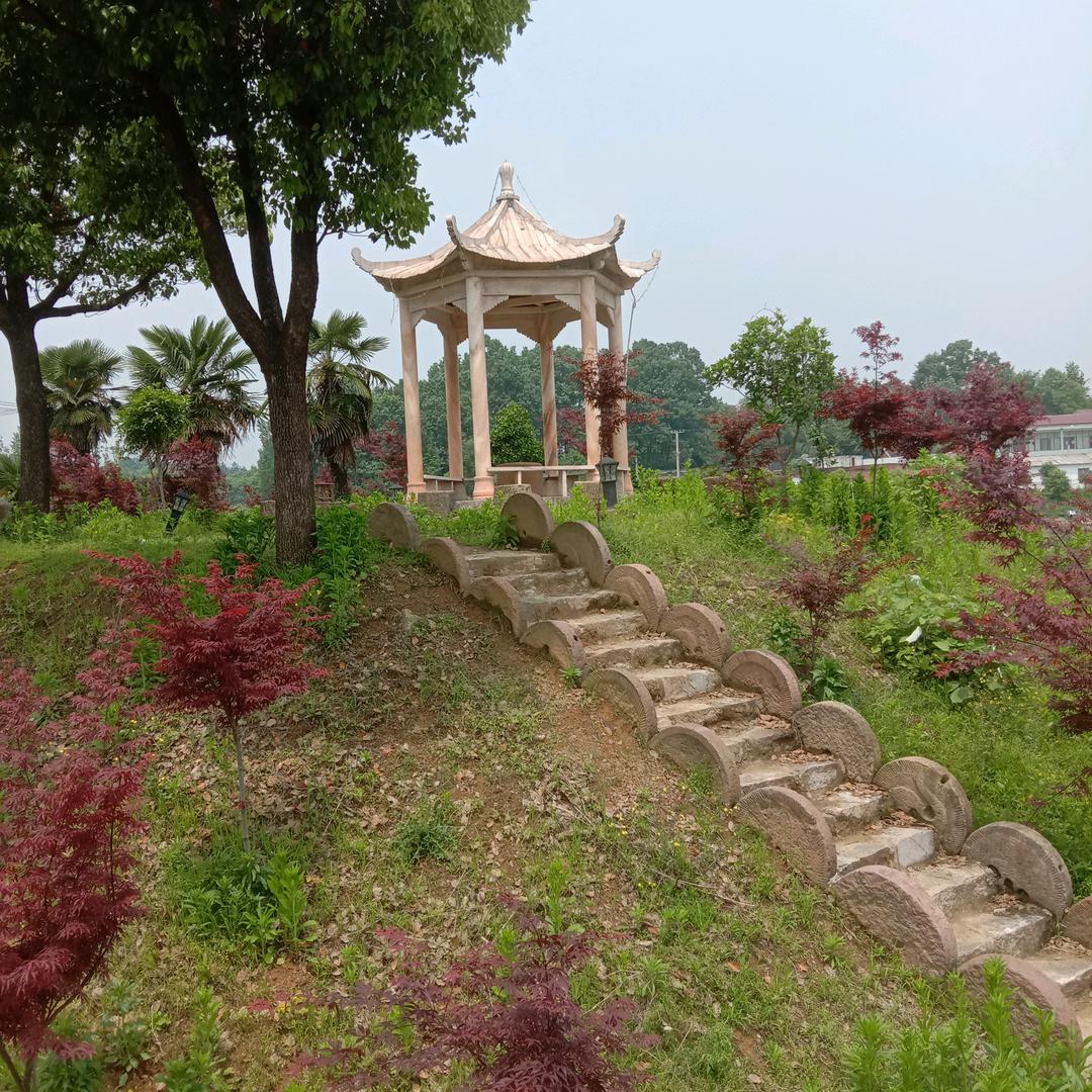 精神常在，永远不倒👻