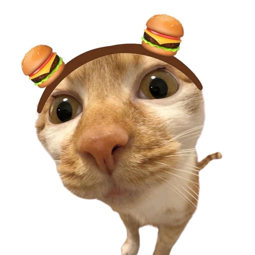 恁爱吃🐟香肉丝🥚•᷄ࡇ•᷅