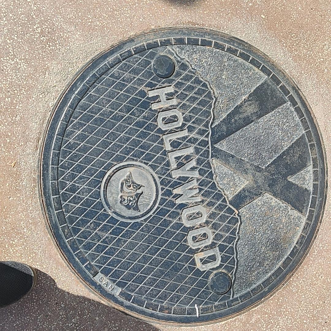 为什么？喂什么？