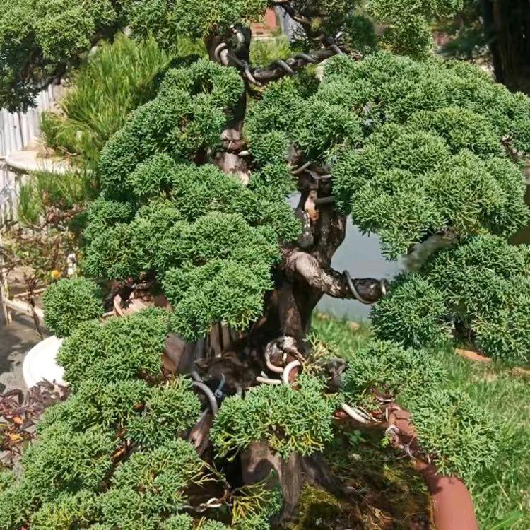承诺