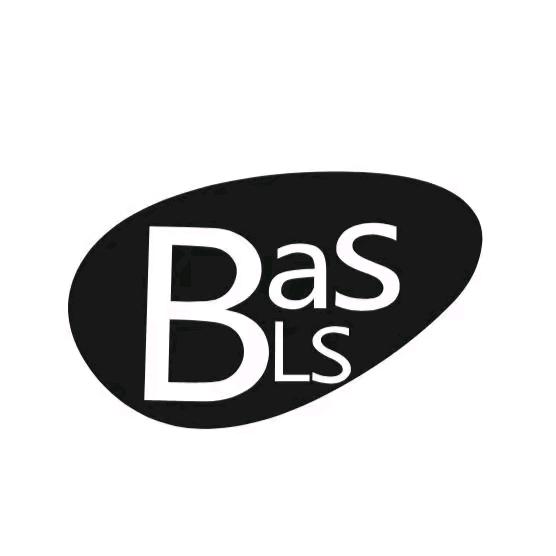 BASLS个体店