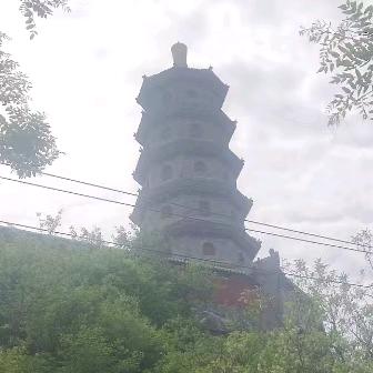 🐼爱你😘无悔🐼