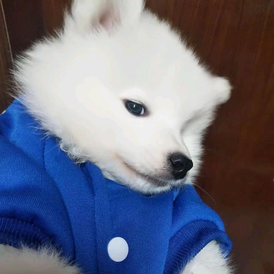 闪闪biubiu🥳