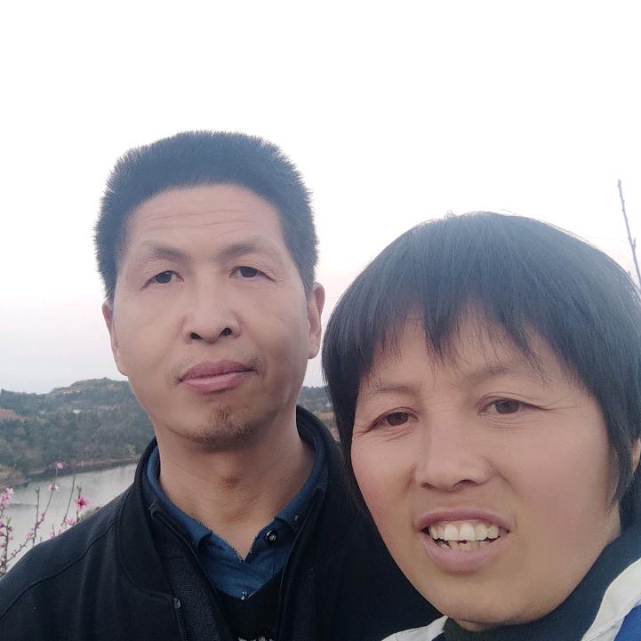 团结水库好吃的柑子李子