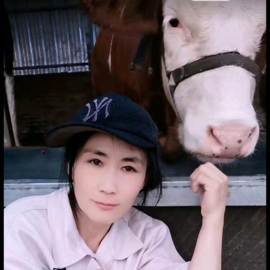依布气的女人1224792013
