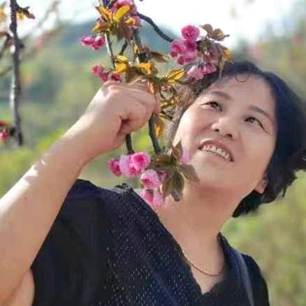 大阳光公寓冉启宪