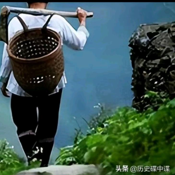 越来越好（河南老姨）