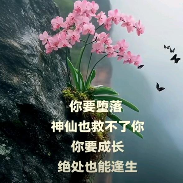 L不忘初心………