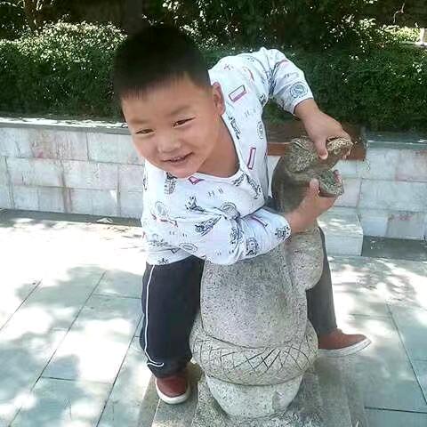 我姓田，却填不满你的心