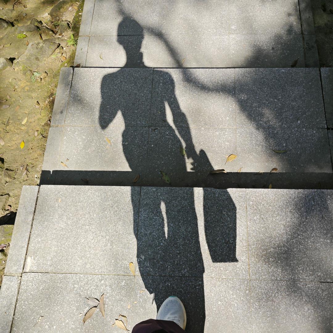 腹肌为谁炼（）