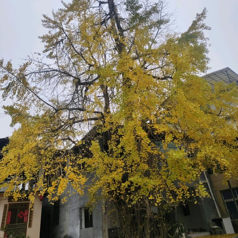 @拼博哥