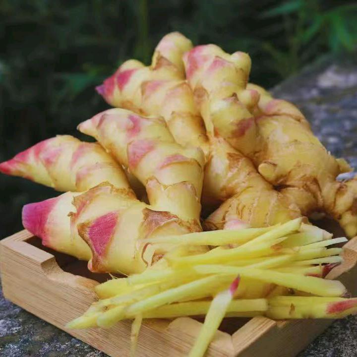 彬彬（农产品溯源）