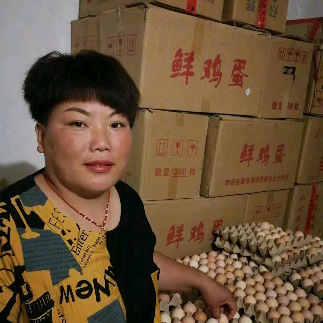 石航和石艺航