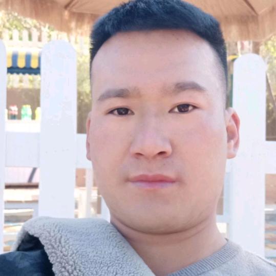 单身一人奋斗的小鸟