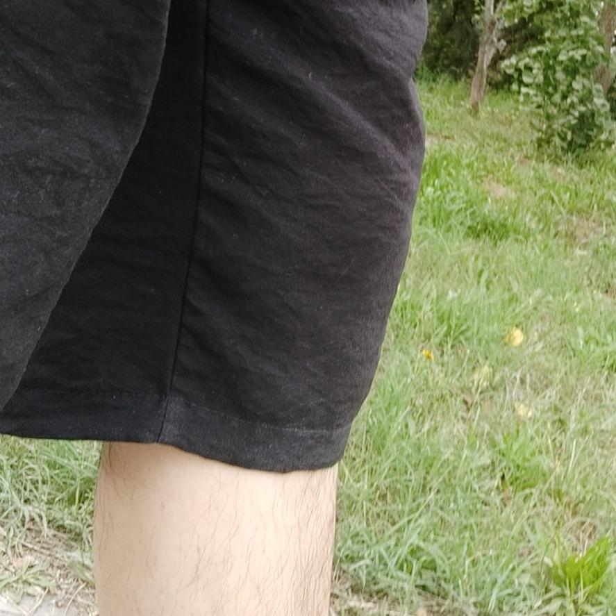 飛歌