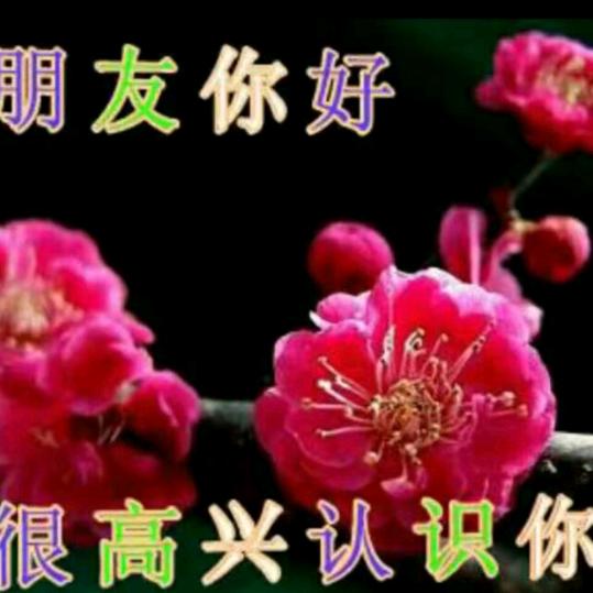 何文学1979