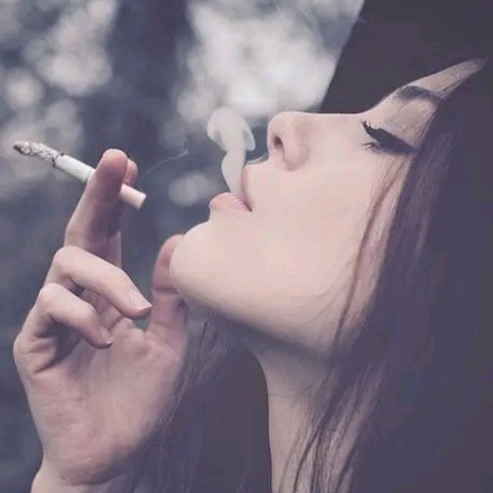 朦朦