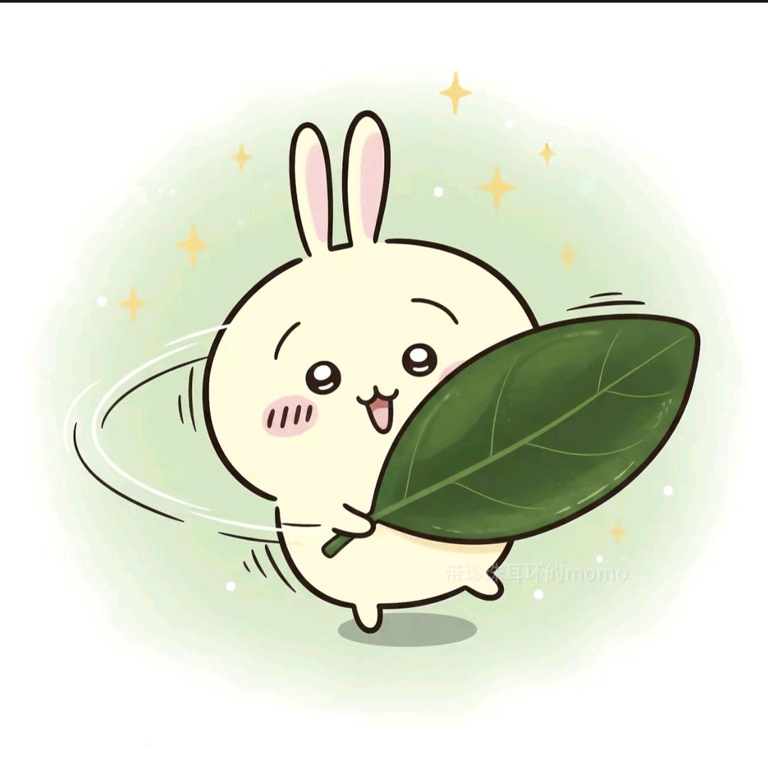 不宋