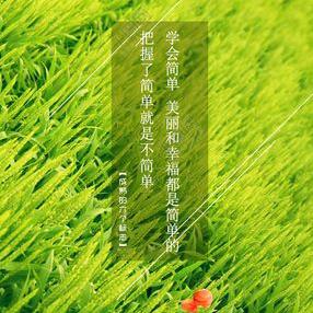 感恩  遇见自己