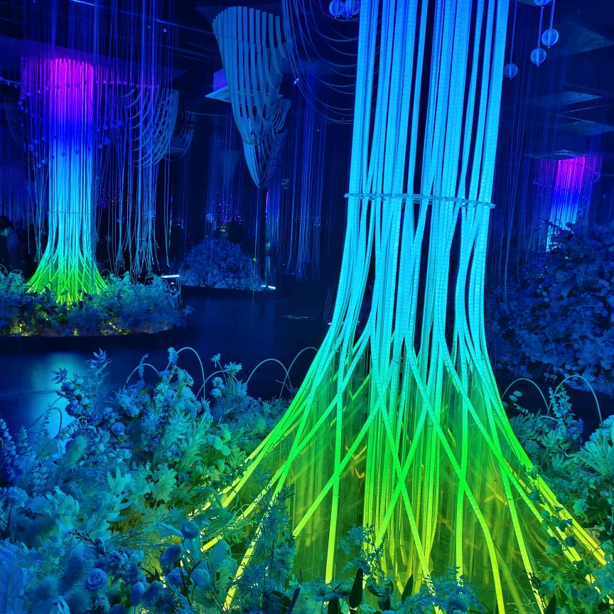 新氧
