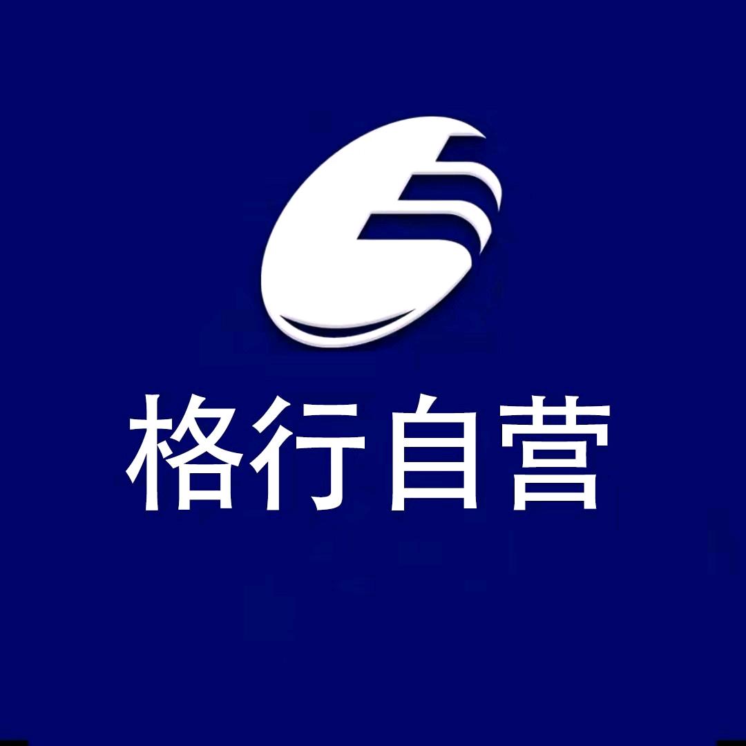 格行官方旗舰店刘永先5G随身wifi