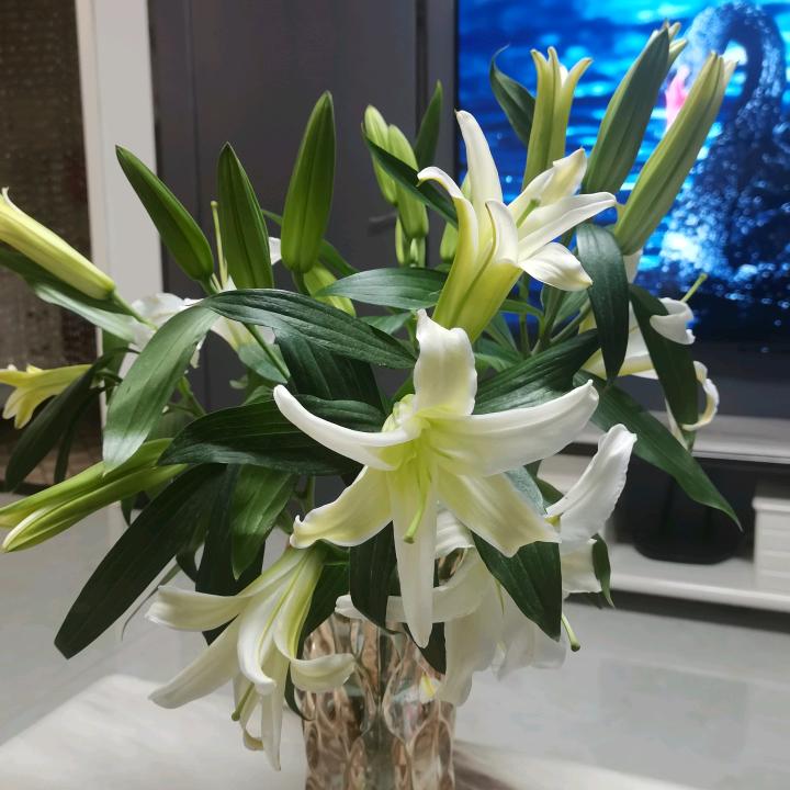 广岳云璟～赵迎格