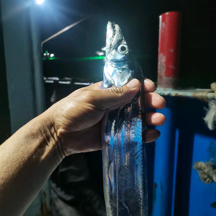 石浦休闲海钓船🎣