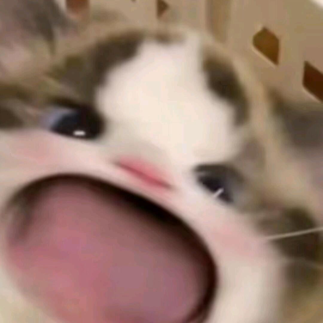 今天我高兴了吗