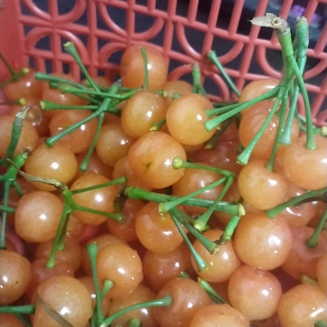 崔师傅，手艺人