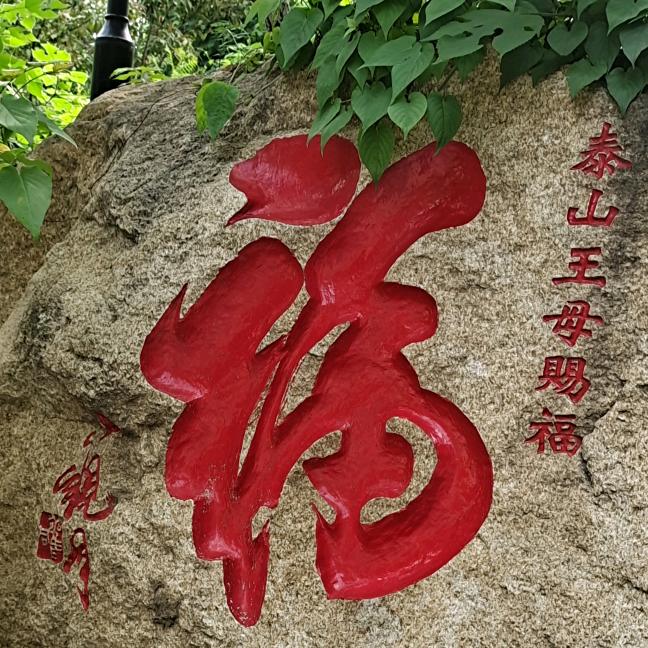 逐流水袖染尘缘