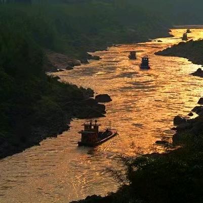 大鲍